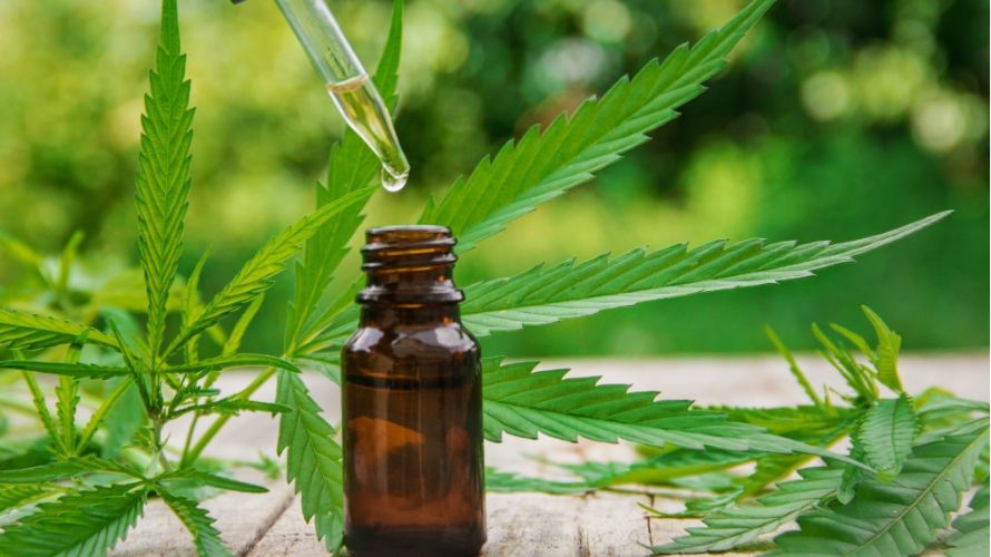 CBD tinctures are made in an extraction process where CBD is isolated from hemp plants. 