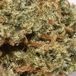 afghani skunk aa