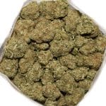 afghani skunk bagshot