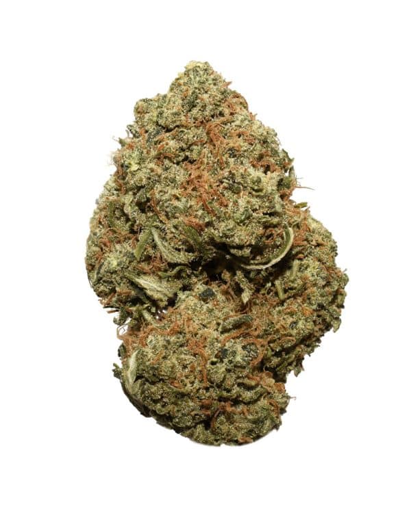 Afghani Skunk AA Nug
