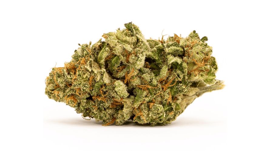 White Widow is the superstar of the "White" family in the cannabis world. It's not just talk – White Widow has earned cool awards like the High Times Cannabis Cup.