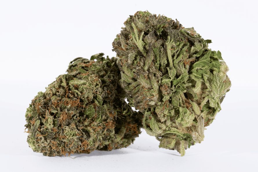 In quest for premium bud, AAAA Weed follows through the assignment with flying colours. Chronic Farms has the premium stash delivered to doorstep instantly