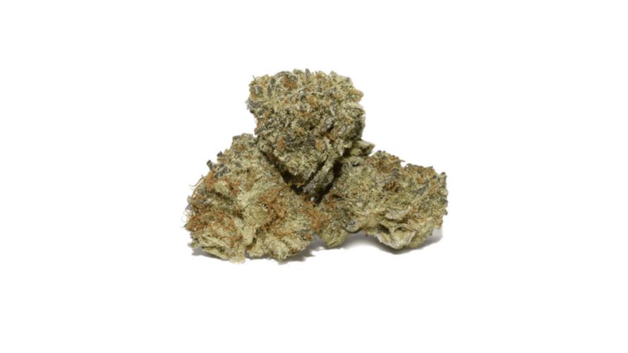 This AAAA-grade bud is not identical to the Animal Cookies strain, but it has some uncanny similarities that are worth checking out. 