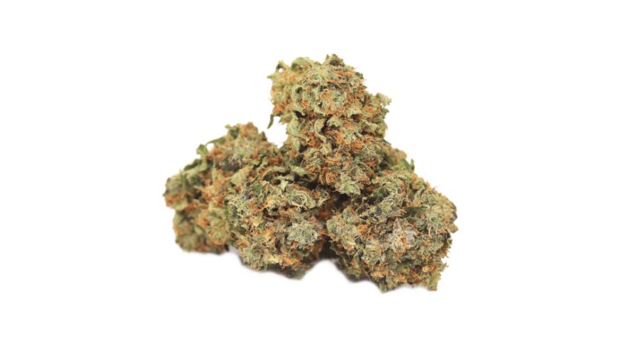 We hope our Platinum Rockstar strain review helped you make a wise decision. 