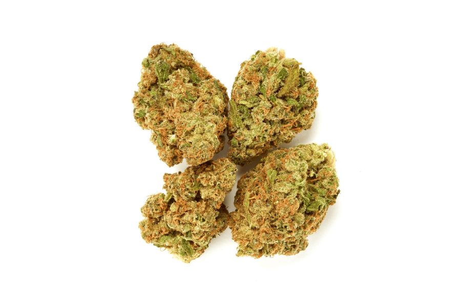 When looking for the premium strain, Black Gold Strain is one to try. Chronic Farms has a massive & fresh stock of buds for its esteemed consumer.