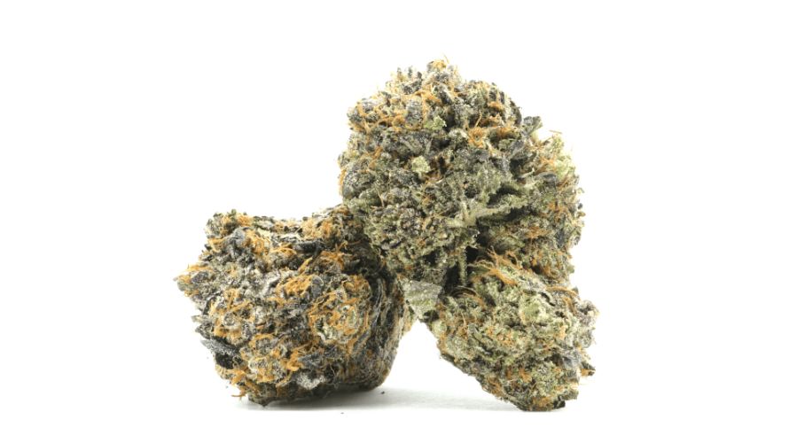 If you're ready for a fantastic weed experience, check out the Blue Fin Tuna strain at Chronic Farms. It's super easy to order weed online from this cool online weed dispensary. 
