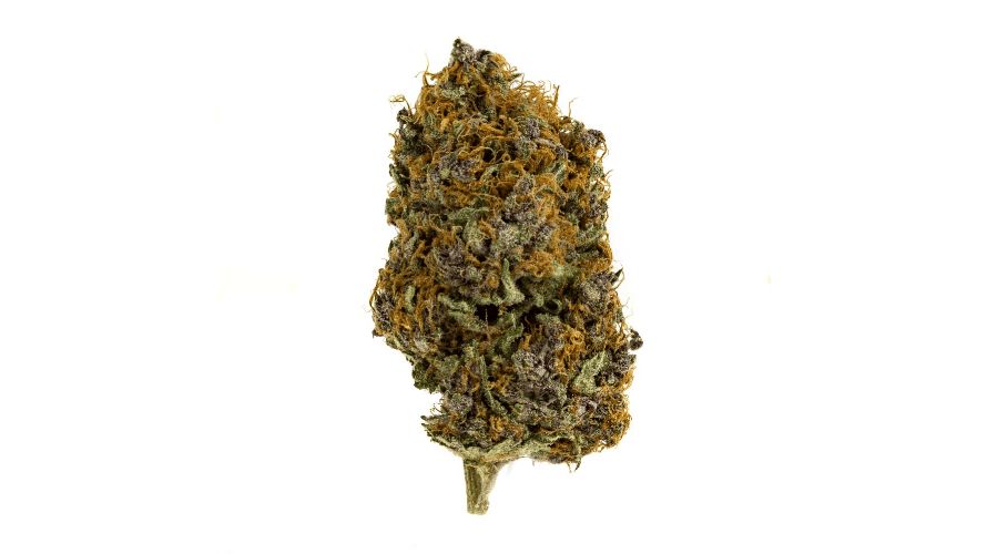 When it comes to finding top-tier AAAA weed, look no further than our online weed dispensary, Chronic Farms. 