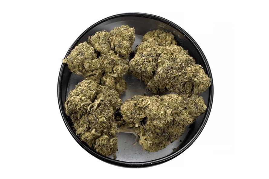 Buy Greasy Pink Bubba and spoil yourself with sensual euphoria, joy, peace, and sheer happiness. It’s the bud that keeps on giving! Read this expert review!