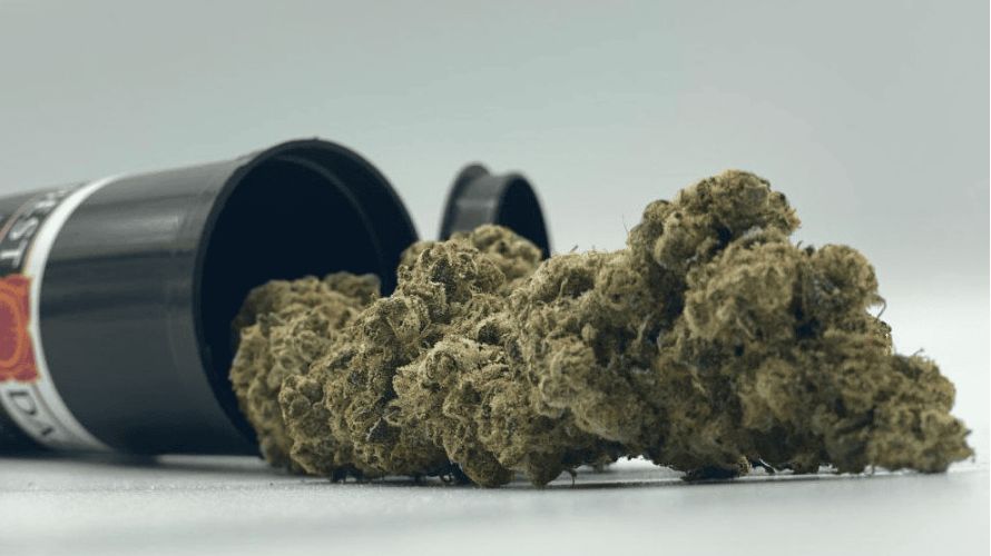 Picking the right online weed dispensary is super important for a good and happy shopping time. 