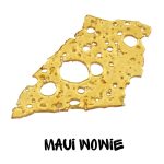 DHL MAUI WOWIE SHATTER