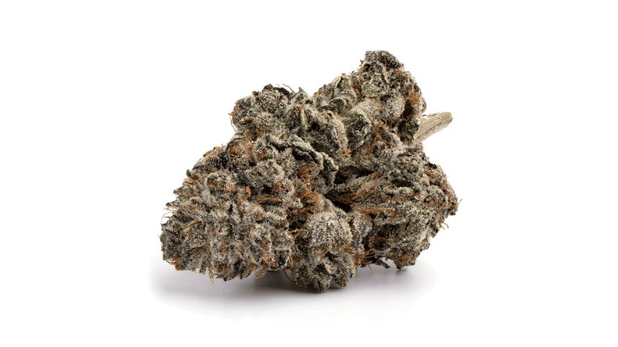 If you buy D. Bubba from our online weed dispensary, the buds will be covered with a thick layer of frosty white trichomes that make the nugs appear icy when viewed at a perfect angle.
