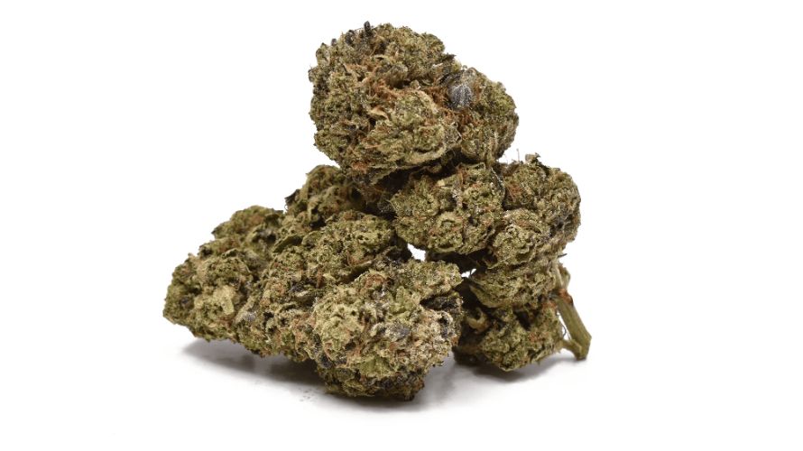 Death Bubba strain boasts of an insanely high THC level that ranges between 25% and 27%. This makes it one of the most potent BC buds online.