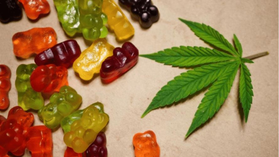 You can find them at an online weed dispensary in the form of baked treats like cookies, brownies, and cakes, as well as chocolates, THC-rich gummies or even salty snacks like chips. 