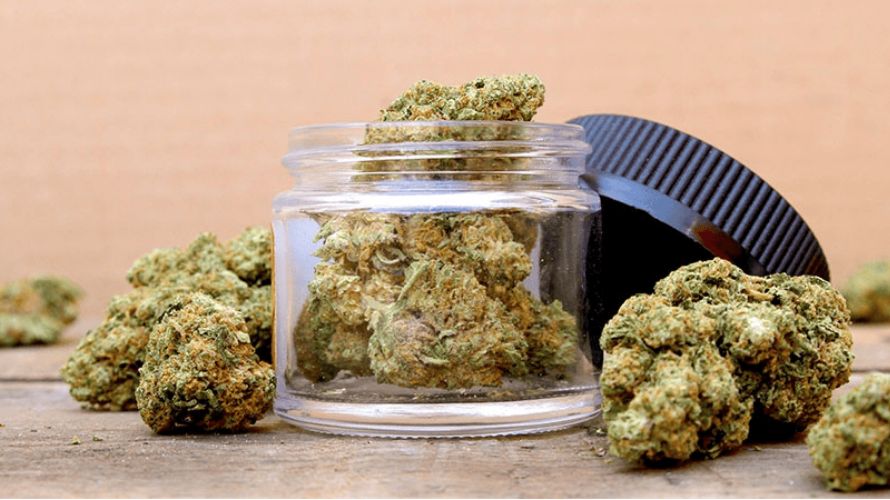 Getting weed online in Canada is easy and has lots of choices at good prices. To make sure the weed is good, you can read what others say about it and the store.