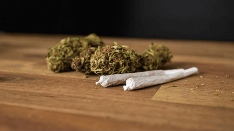 Before you buy Cannabis online, you can see what other people think about it online. Shopping for Canadian mail order marijuana on the internet lets you learn more about the weed you want and what it might do before you get it.