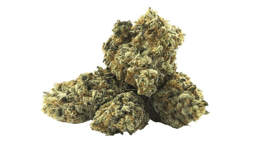 Although both the Humboldt Black Gold strain and Quebec Black Gold strain go by the same name, there are slight differences that make them unique.