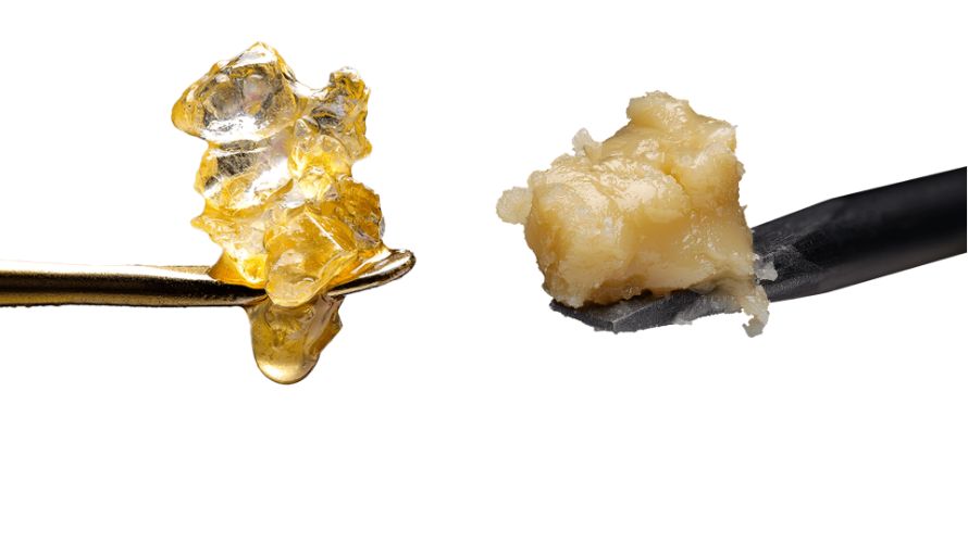 You’ve probably come across live rosin while scrolling through the menu of your favourite online weed dispensary. So, are these two concentrates the same? 