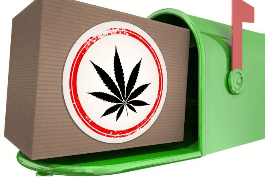 Ever wondered how to mail order weed in Canada? Discover the simple way with Chronic Farms! From great choices to special deals, we've got you covered!