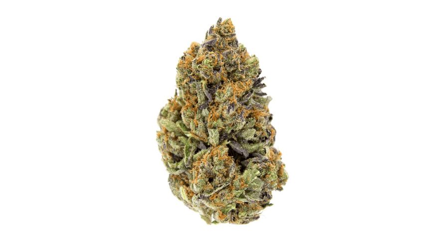 Pink Death weed strain has a THC level peaking at 25%. It is a high level among cultivars, answering for its swift and powerful impact.