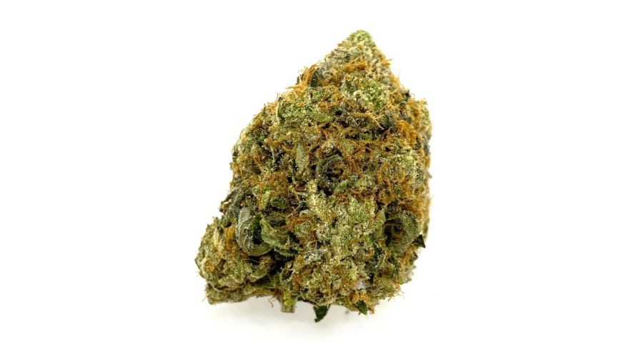 Black Gold strain is a unique and very uncommon Indica-dominant hybrid, with 80% of its genetic makeup being Indica and 20% Sativa. 