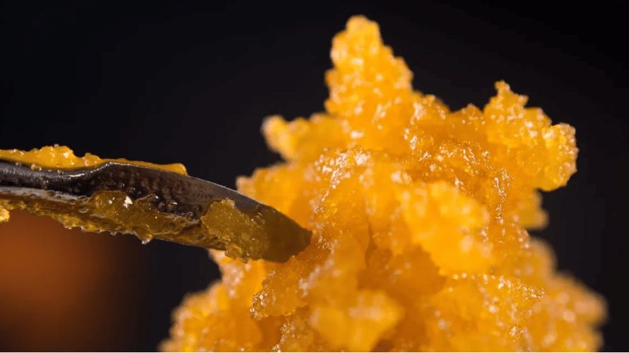 Live resin is a cannabis concentrate that’s quickly becoming a fan favourite due to its unique aroma and flavour profile. 