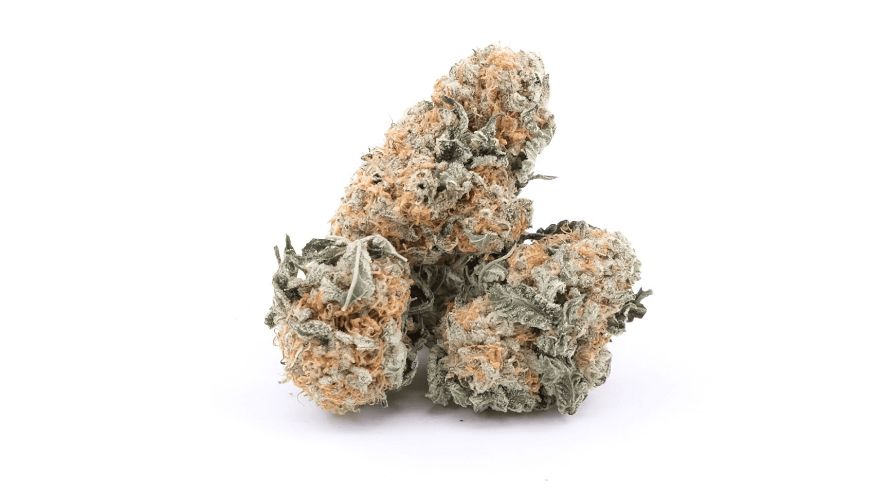 Buy cannabis online like Ice Wine if you are on the lookout for a fast-acting bud with knock-out effects. 
