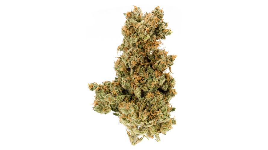 The AK 47 strain has a robust and potent terpene profile that contributes to its appealing aroma and taste. 