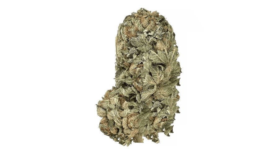 Purple Rockstar strain is an Indica-dominant hybrid strain that has already gained a lot of popularity among cannabis lovers due to its vivid buds. 