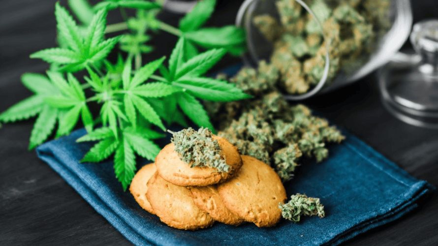 Eating cannabis can be helpful for different reasons. Let's look at why THC edibles, which have a special part of cannabis called tetrahydrocannabinol (THC), might be good for you.