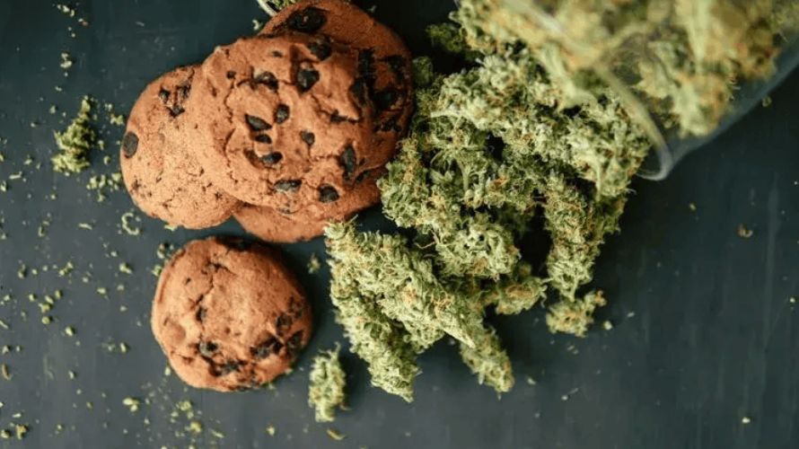 Even though edibles are a tasty and quiet way to enjoy cannabis, it's important to be aware of some potential problems.