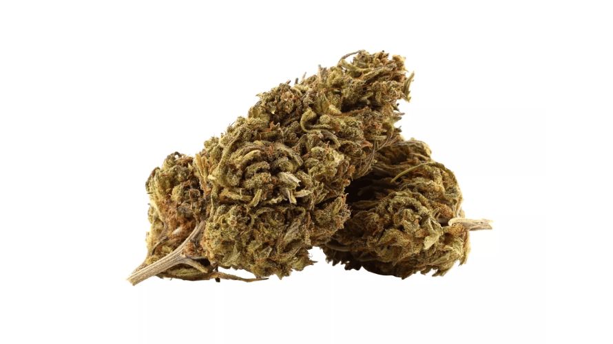 ChronicFarms is among the most reputable online weed dispensaries in Canada. We offer a comprehensive product selection of cannabis products, including the iconic Moby Dick strain. 