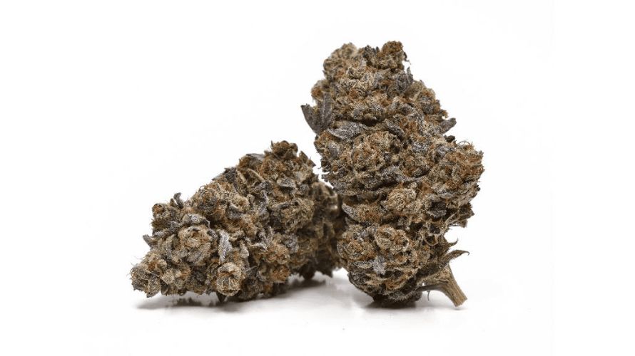 The Space Cookies strain is currently available in online dispensaries in Canada. 