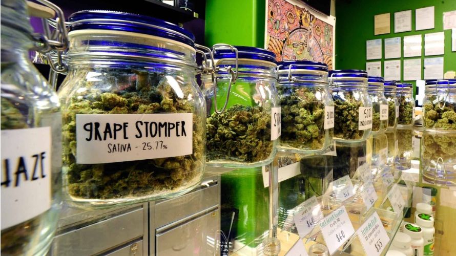 A discount dispensary is the primary spot for all of your needs. 