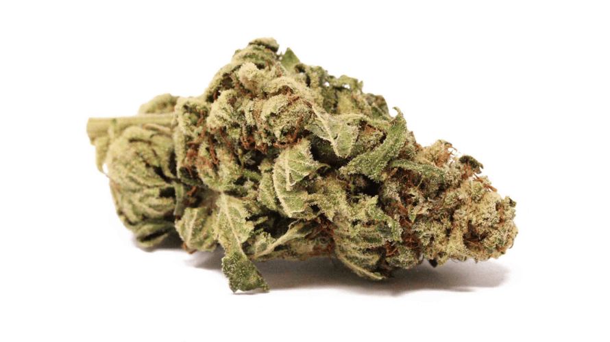 The Violator strain will slam you down faster than you can say "hi". It's fast-acting, intense, and addictive. 