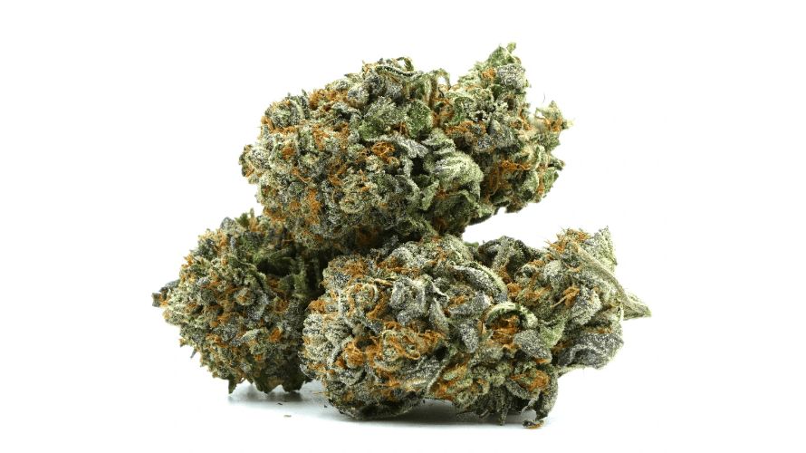 Once you get the first hit of the Pink Tuna strain, expect to feel a sense of cerebral effects, such as intense feelings of euphoria. 