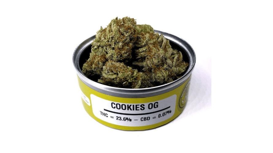 Growing the Space Cookies strain is an exciting experience if you have the right skills and resources available. 