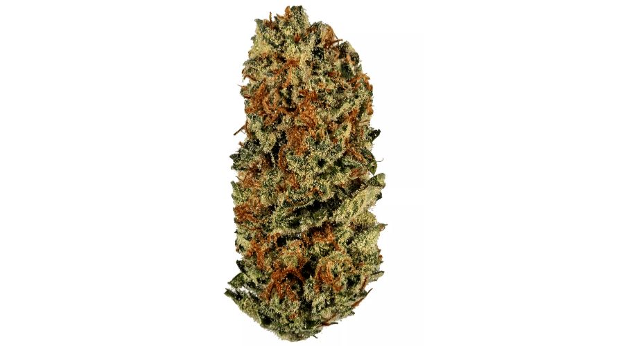 Buy a BC bud online like Lemon Meringue if you want something intense, but not too overwhelming. We suggest purchasing it from the best online weed dispensary to ensure high quality, safety, and desired effects.