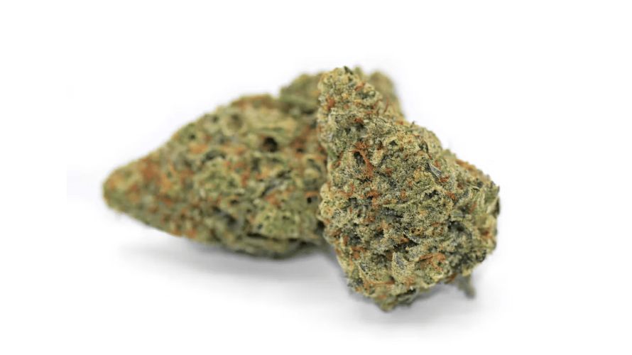 The Lemon Meringue strain is a 70 percent Sativa and 30 percent Indica strain. This means that the Lemon Meringue strain effects are energizing and uplifting.