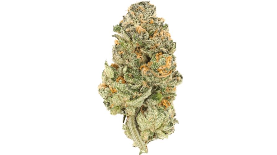 The Mint Chocolate Chip strain is a low to moderate-potency bud, with around 18 percent THC.