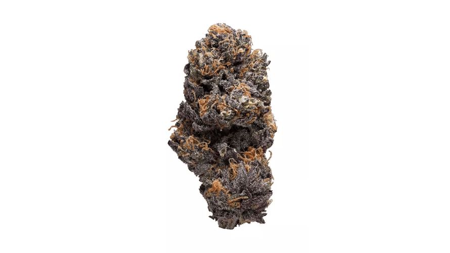 What are the tastiest and best weed strains that are purple? We've compiled a list of all the purple weed strains, starting from the trendiest to the rarest of the bunch. 