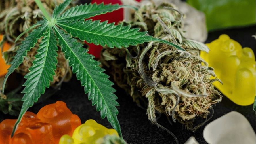 If you're looking to order edibles online in Canada, you have a few options. But the best place is a licensed online weed dispensary because you can be sure the products are safe and tested.