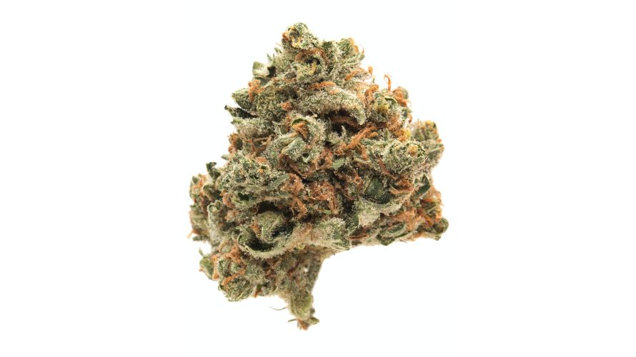 Purchase the Lemon Meringue strain and other premium-grade buds from Chronic Farms. 