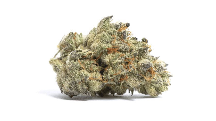 The Shishkaberry strain taps into the attributes of its parent strains to produce a uniquely special strain. 
