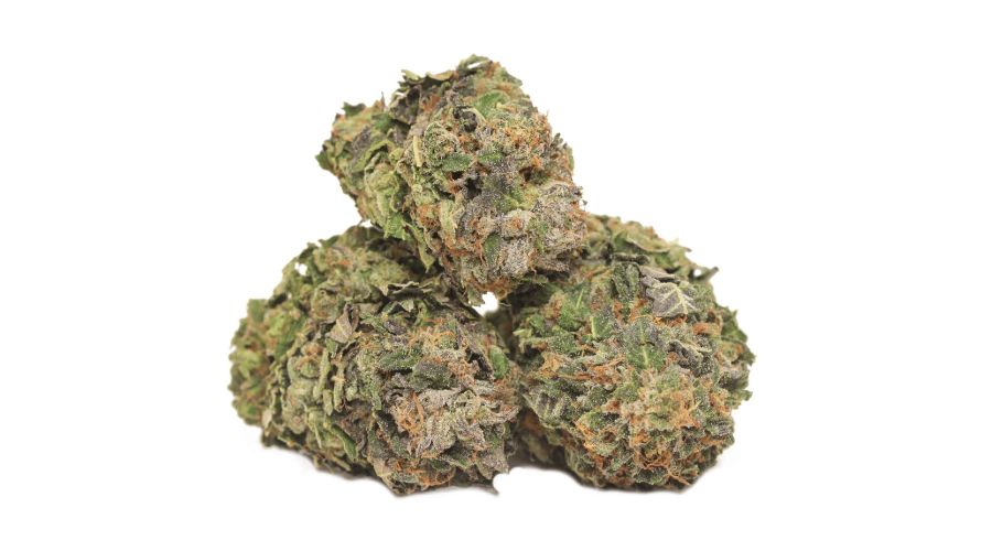The Pink Tuna Strain, also known as the Pink Tuna Kush strain, comes from a mysterious origin. It's a crossbreed of the Pink Kush and the Tuna Kush strain. 