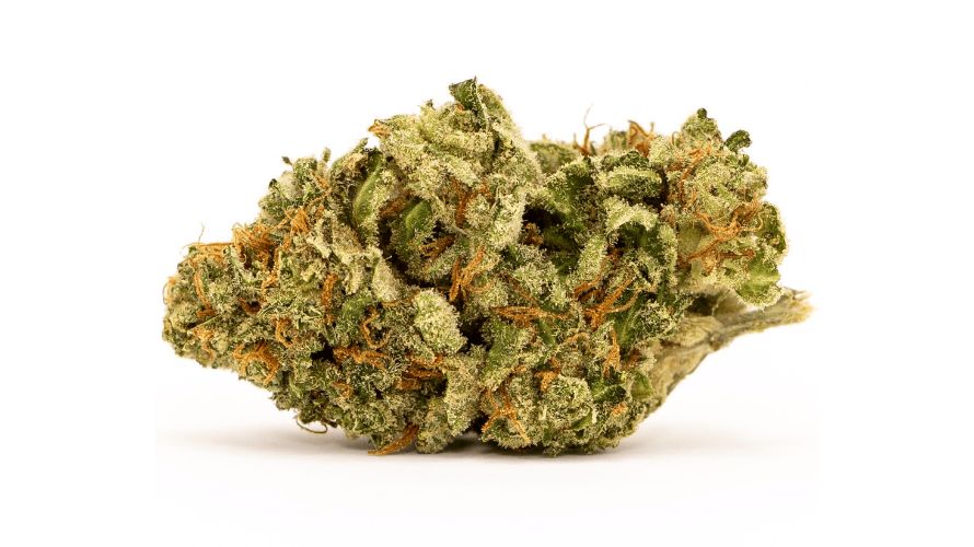 When you want to choose the right cannabis strain from a weed dispensary online, various factors come into play. These factors have a huge role to play in your general cannabis experience. 