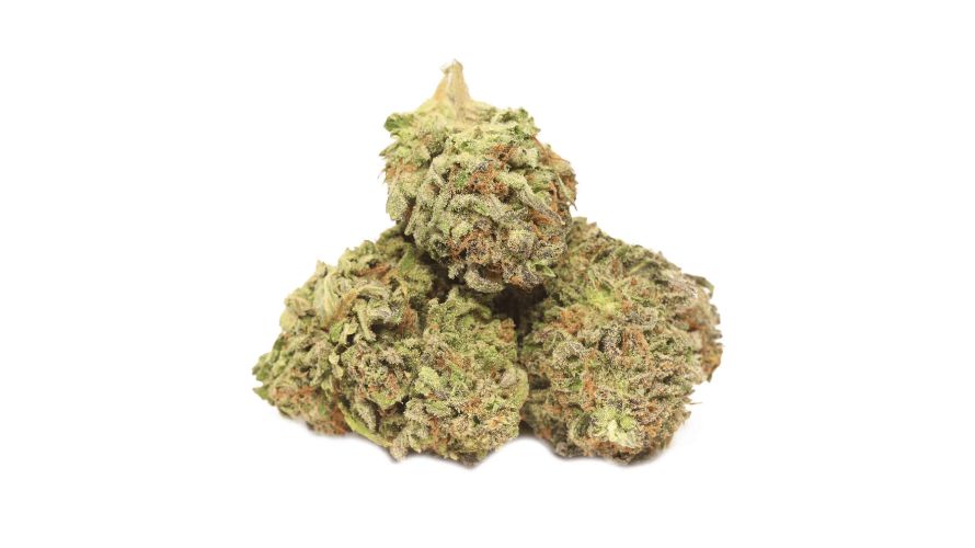 Shishkaberry strain boasts a modest 18% THC level, opening up the cultivar to both experienced and novice weed consumers. 