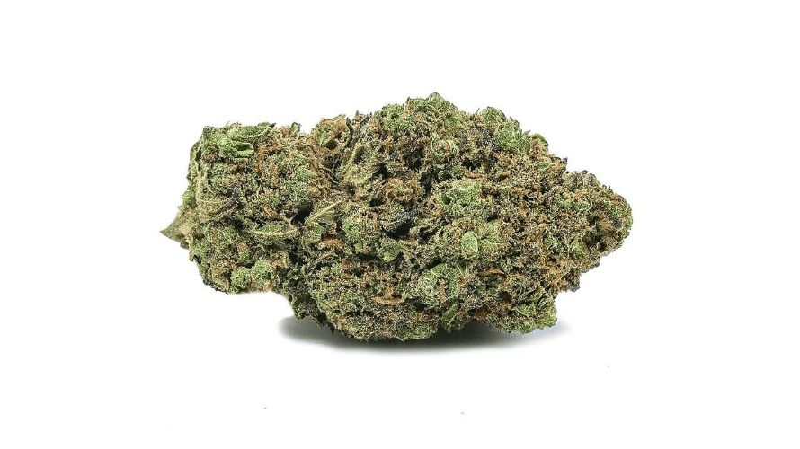 The visual allure of Shishkaberry Kush is undeniable. Its buds are densely packed and covered with a generous layer of trichomes, giving off a shimmering, crystalline appearance. 