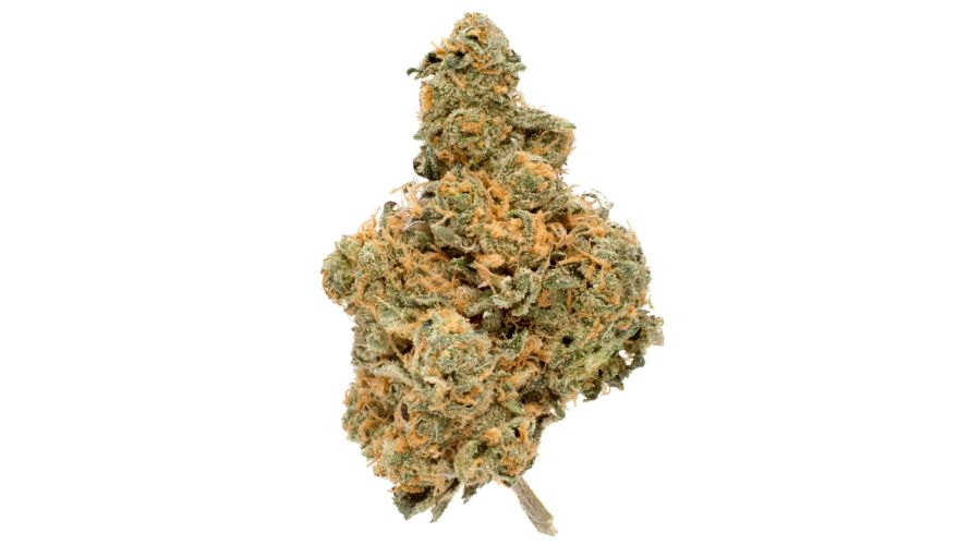 Space Cookies strain, popularly known as Purple Space Cookies, is a hybrid cannabis strain. 