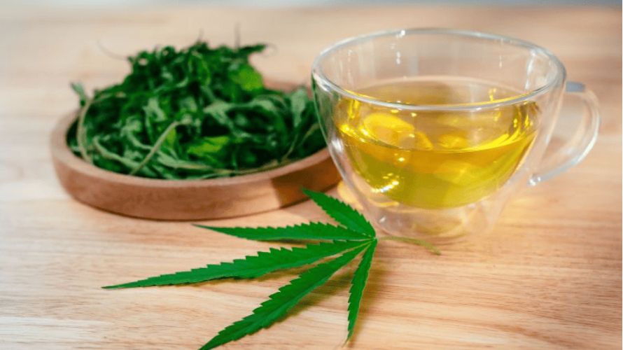 Buy cannabis online and savour the natural aroma and sweet taste of the finest cannabis teas. 