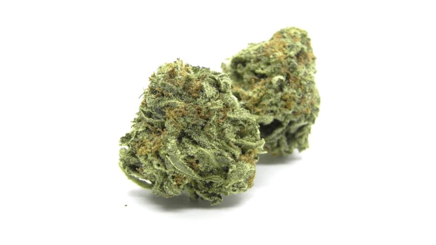 The Violator Kush strain is a blend of spicy, woody, and earthy tastes, with a subtle hint of pine and mustiness. 